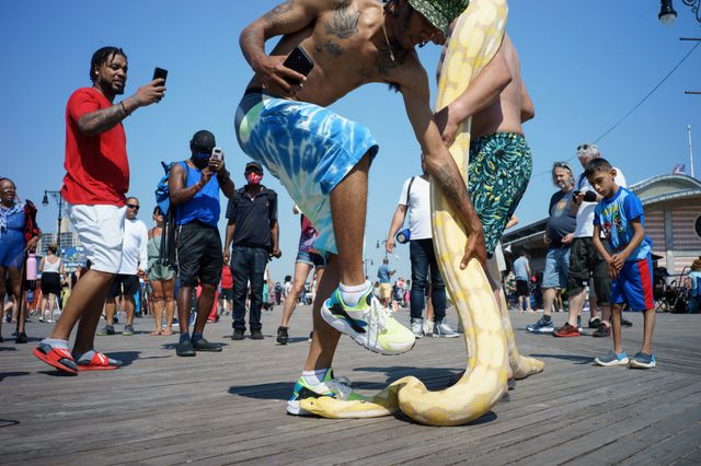 A Someone showing off their pet snake on the Coney Island boardwalk